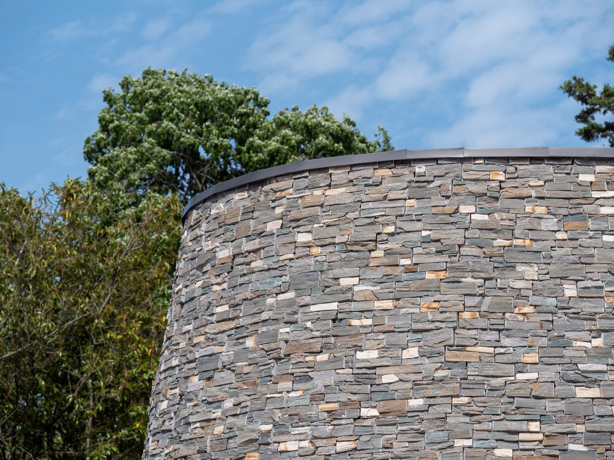 Taylor Maxwell tweet media