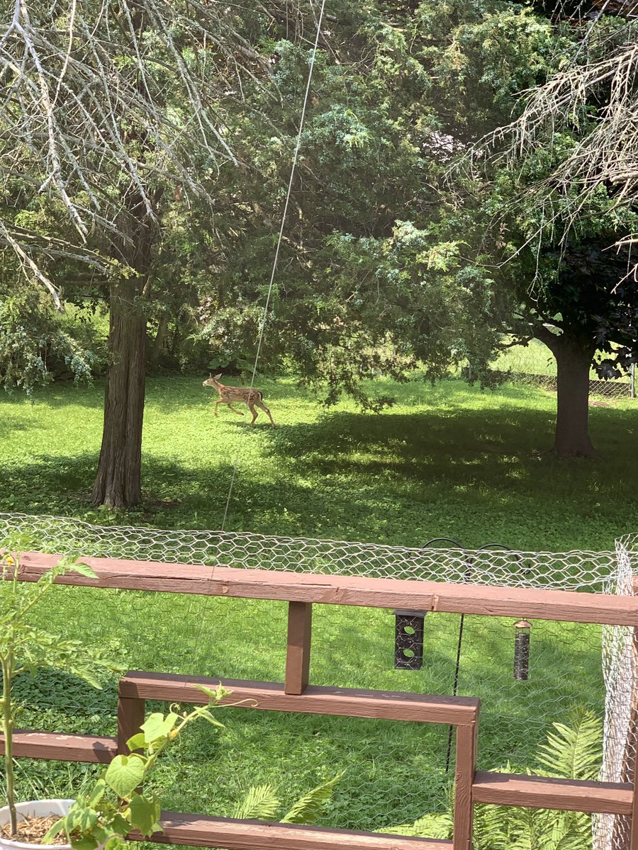 Ashley (@ashley653724718) on Twitter photo 