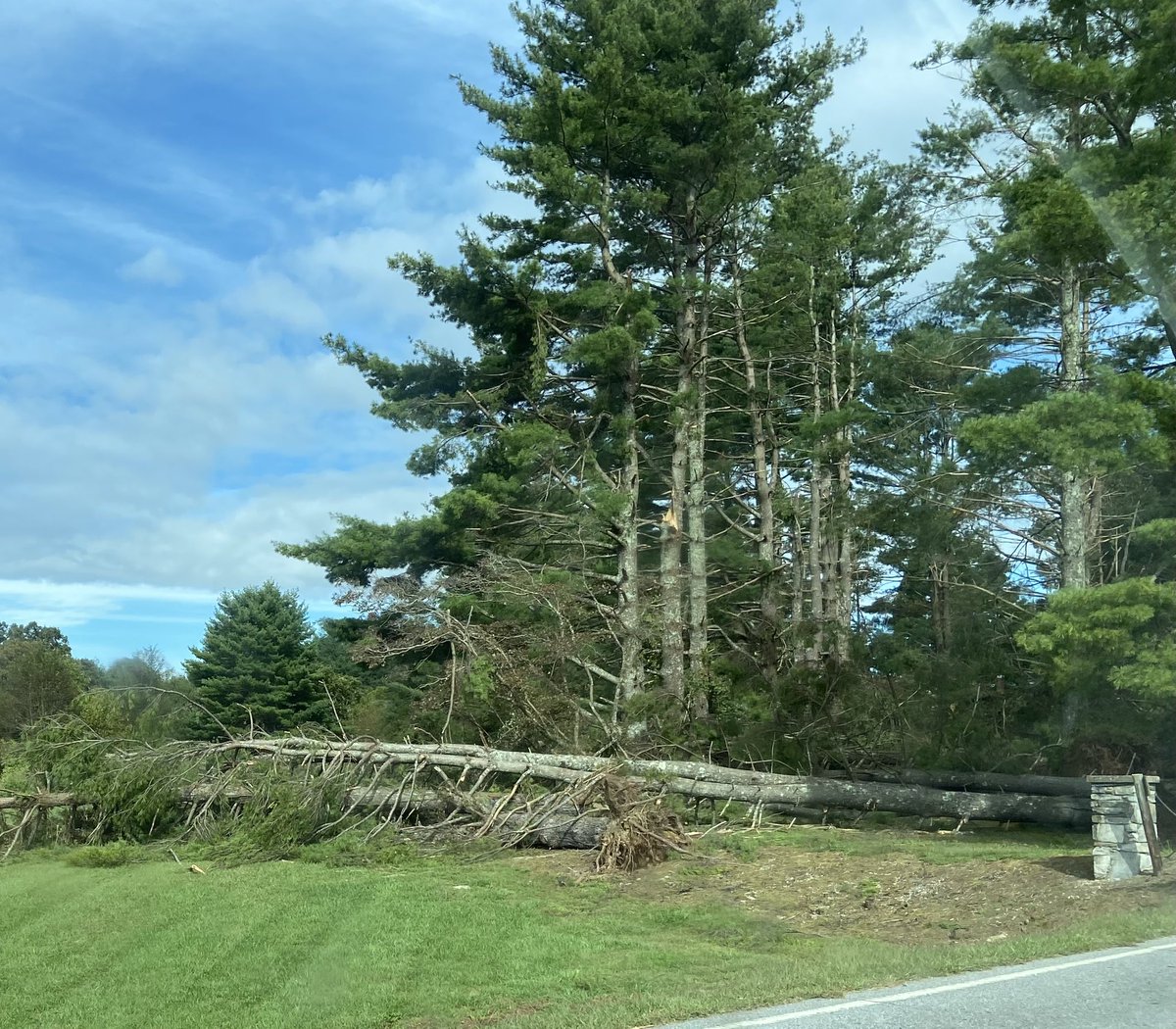 Virginia R Lowe tweet media