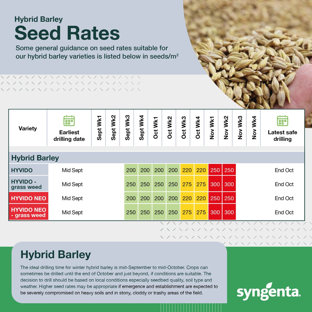 The Great British inconsistent weather strikes again! ⛈️ If you're yet to drill your HYVIDO #hybridbarley, here's a little reminder of seed rates for October onwards 🚜 #seedrates