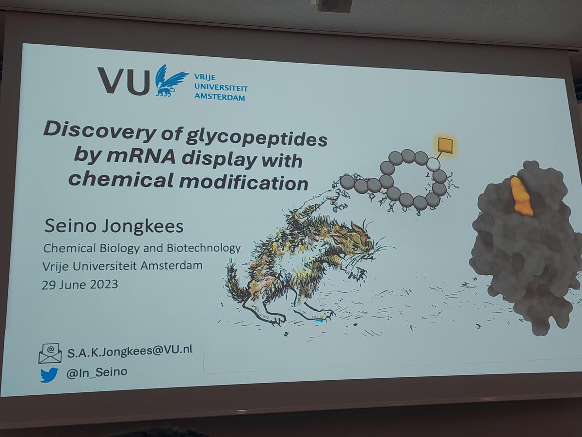 GDCh_BioChem's tweet image. Great talk by @In_Seino at #GDChBioChem2024 #Biochemistry2024. He talked about the development of technologies to combine mRNA display with chemical modifications in order to study the interactions of macrocyclic glycopeptides. …mistry-europe.onlinelibrary.wiley.com/doi/10.1002/ch…
