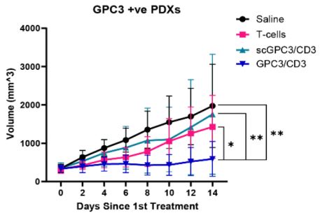 Alexey Gurevich (@alexeygurevich) on Twitter photo 📡fresh off the press 📡 <a href="/MCT_AACR/">Molecular Cancer Therapeutics</a>
GPC3-targeting optical probe and T-cell redirecting antibody as a #theranostic strategy for detection and treatment of #HCC validated in patient-derived xenografts <a href="/PennRadiology/">Penn Radiology</a> <a href="/PigiLab/">PIGILab</a> <a href="/SIRspecialists/">Society of Interventional Radiology</a> <a href="/MDAndersonNews/">MD Anderson Cancer Center</a> 📡fresh off the press 📡 <a href="/MCT_AACR/">Molecular Cancer Therapeutics</a>
GPC3-targeting optical probe and T-cell redirecting antibody as a #theranostic strategy for detection and treatment of #HCC validated in patient-derived xenografts <a href="/PennRadiology/">Penn Radiology</a> <a href="/PigiLab/">PIGILab</a> <a href="/SIRspecialists/">Society of Interventional Radiology</a> <a href="/MDAndersonNews/">MD Anderson Cancer Center</a>