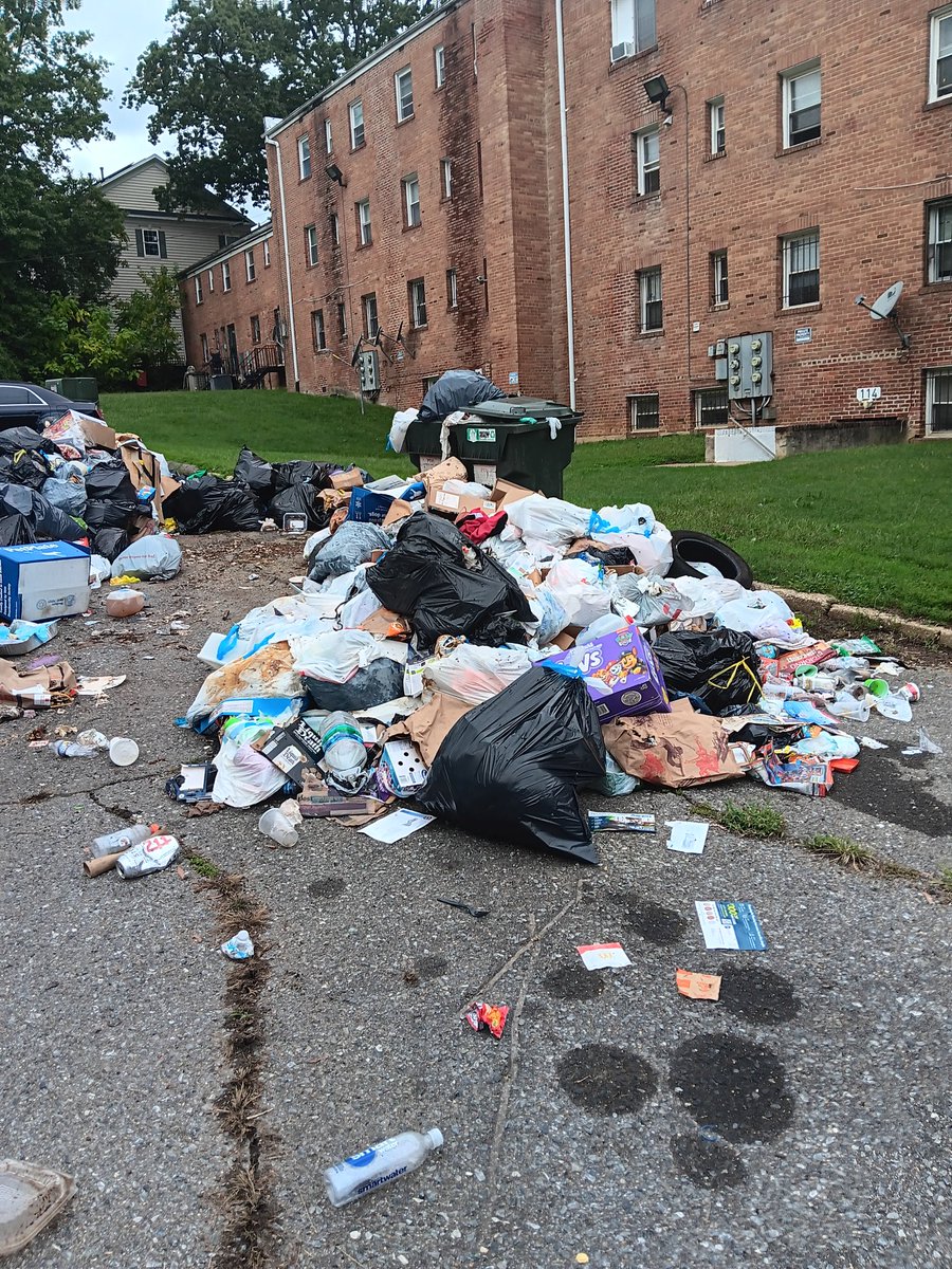 dc_voter's tweet photo. @DCDPW Make 114 Danbury SW #TrashFreeDC https://t.co/QDk9QBOh1f