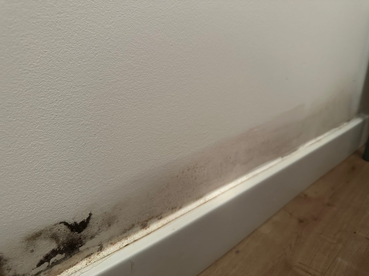 Hola <a href="/momentum_re/">MOMENTUM Real Estate</a> llevo desde diciembre de 2023 esperando al servicio postventa de vuestra promocion Teatinos Skygarden para que reparen las incidencias