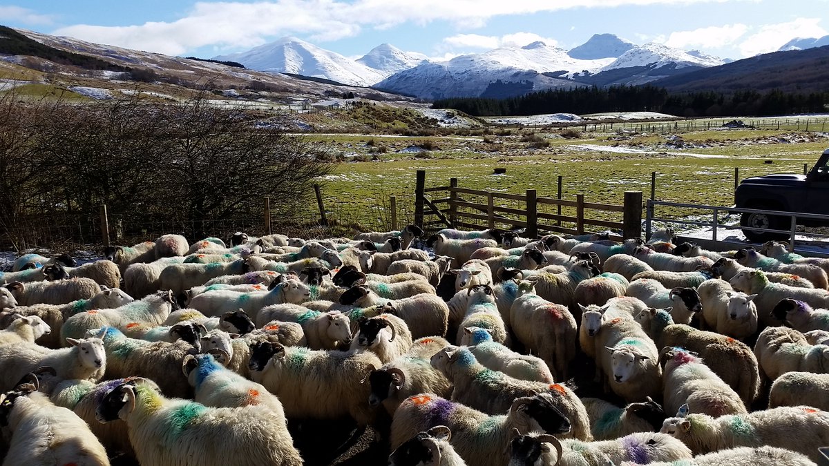 Please Share. Are you UK based and involved in a demonstration farm or farm cluster/network? 

Please share your experience with colleagues at Leeds University (via a 10 min survey) to help explore the potential for developing a UK wide network: tinyurl.com/2fdbx8zs