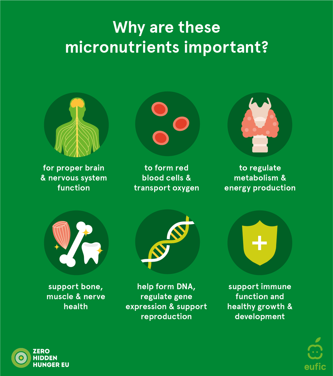 EUFIC's tweet photo. #B12 is not the only vitamin that people who rarely eat animal-based products need to pay attention to. 🧐     

Having a #BalancedDiet requires sufficient intakes of other #micronutrients.     

Can you guess which ones? 📷 #ZeroHiddenHungerEU