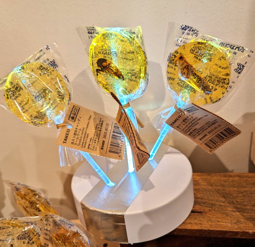 🌝琥珀キャンディ各種、浅草本店再入荷しました❗🌝 楽しみにしていて