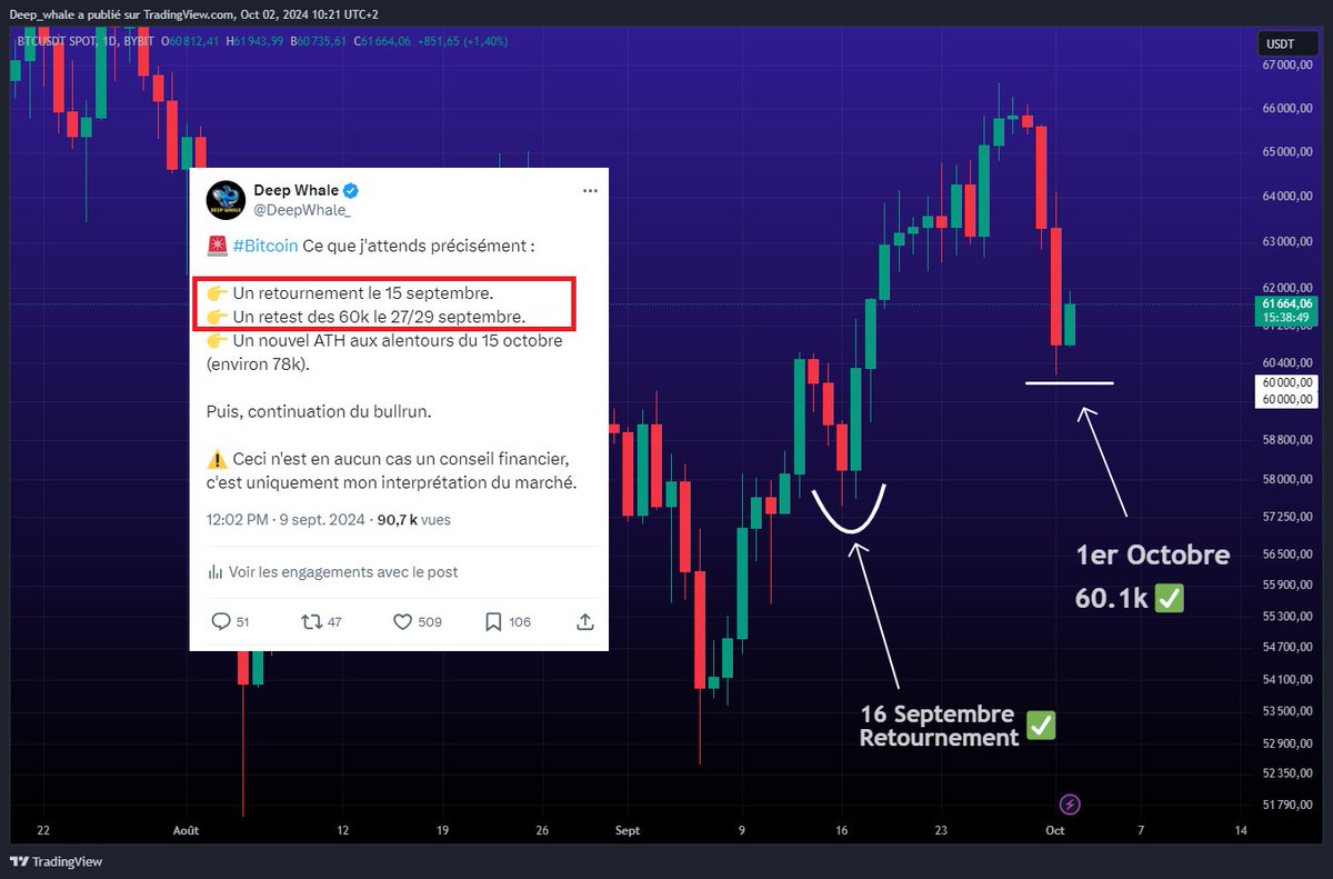 Deep Whale tweet media