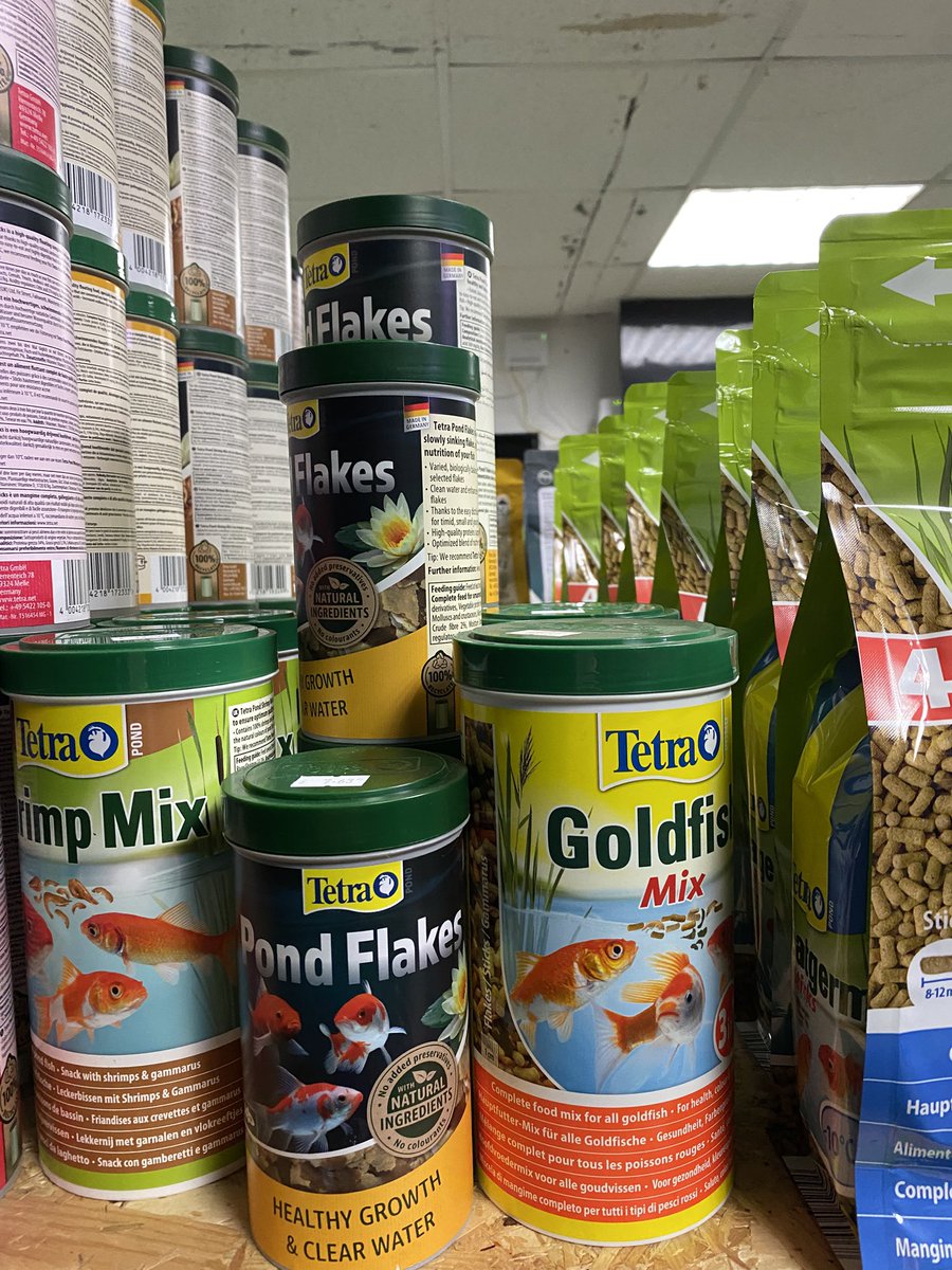 UAquaticsUK's tweet image. 🌿 Pond season is winding down, but don't worry! We’ve just received a fresh delivery of Wheatgerm to keep your fish healthy as the cooler months approach. 🐟 Stock up now and get ready for the colder weeks ahead!

#pondfish #pond #fish #koi #koifish #pondlife #koipond
