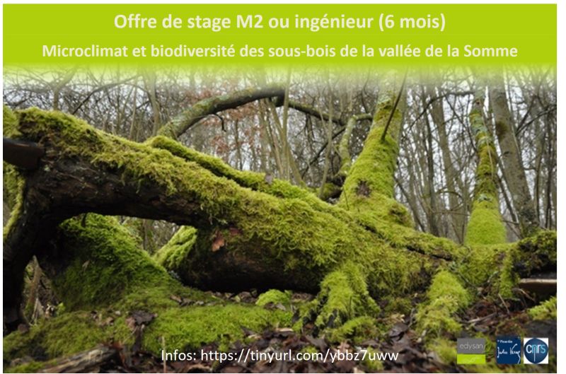 🚨Annonce de stage 🚨
stage de 6mois sur les microclimats et la biodiversité végétale des sous-bois de la vallée de la Somme.
Motiver? pour installer des capteurs, réaliser des inventaires botanique, y compris sur les bryophytes et décrire les bois. tinyurl.com/ybbz7uww