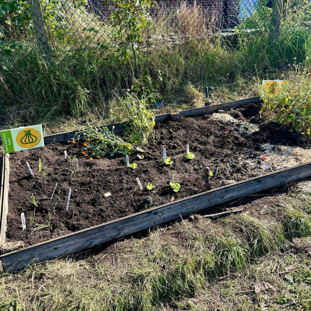 We love seeing the incredible progress at @DenbyDaleSchool 🌱 Their garden beds are coming along nicely and we can’t wait to see these spaces flourish. It’s exciting to watch the children engage with growing their own food and learning outdoors.🥕 #teachoutdoors #primaryteachers