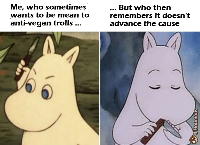 Jihoum Veg tweet media