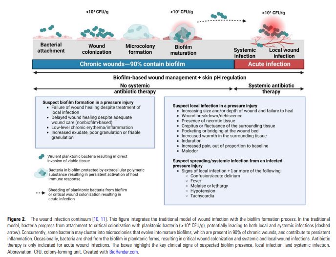 Takahiro Matsuo (Taka), MD (@takamatsuo_id) on Twitter photo 【State-of-the-Art Review: Evaluation and Management of Pelvic Osteomyelitis】<a href="/CIDJournal/">Clinical Infectious Diseases</a> Sep 26, 2024
👉Congratulations to our <a href="/MayoClinicINFD/">Mayo Clinic Infectious Diseases</a> #OrthoID, <a href="/MayoOrthoRes/">Mayo Orthopedic Residency</a> <a href="/MayoVascSurgery/">Mayo Clinic Vascular and Endovascular Surgery</a> <a href="/MayoClinicPRS/">Mayo Clinic Plastic Surgery Residency</a> multidisciplinary collaborative team @SaidElZein2 @GinaSuhMD, Dr. Melin, Dr. 【State-of-the-Art Review: Evaluation and Management of Pelvic Osteomyelitis】<a href="/CIDJournal/">Clinical Infectious Diseases</a> Sep 26, 2024
👉Congratulations to our <a href="/MayoClinicINFD/">Mayo Clinic Infectious Diseases</a> #OrthoID, <a href="/MayoOrthoRes/">Mayo Orthopedic Residency</a> <a href="/MayoVascSurgery/">Mayo Clinic Vascular and Endovascular Surgery</a> <a href="/MayoClinicPRS/">Mayo Clinic Plastic Surgery Residency</a> multidisciplinary collaborative team @SaidElZein2 @GinaSuhMD, Dr. Melin, Dr.