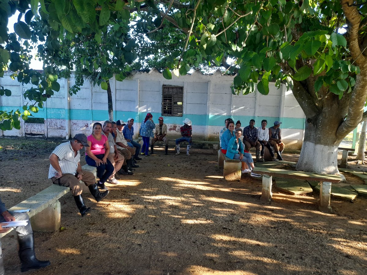 Desarrollamos la Asamblea de Trabajadores Ejemplares en la UBPC Viscucia donde se propusieron dos compañeros para crecer al PCC y aceptaron voluntariamente. #Chambas #LatirAvileño