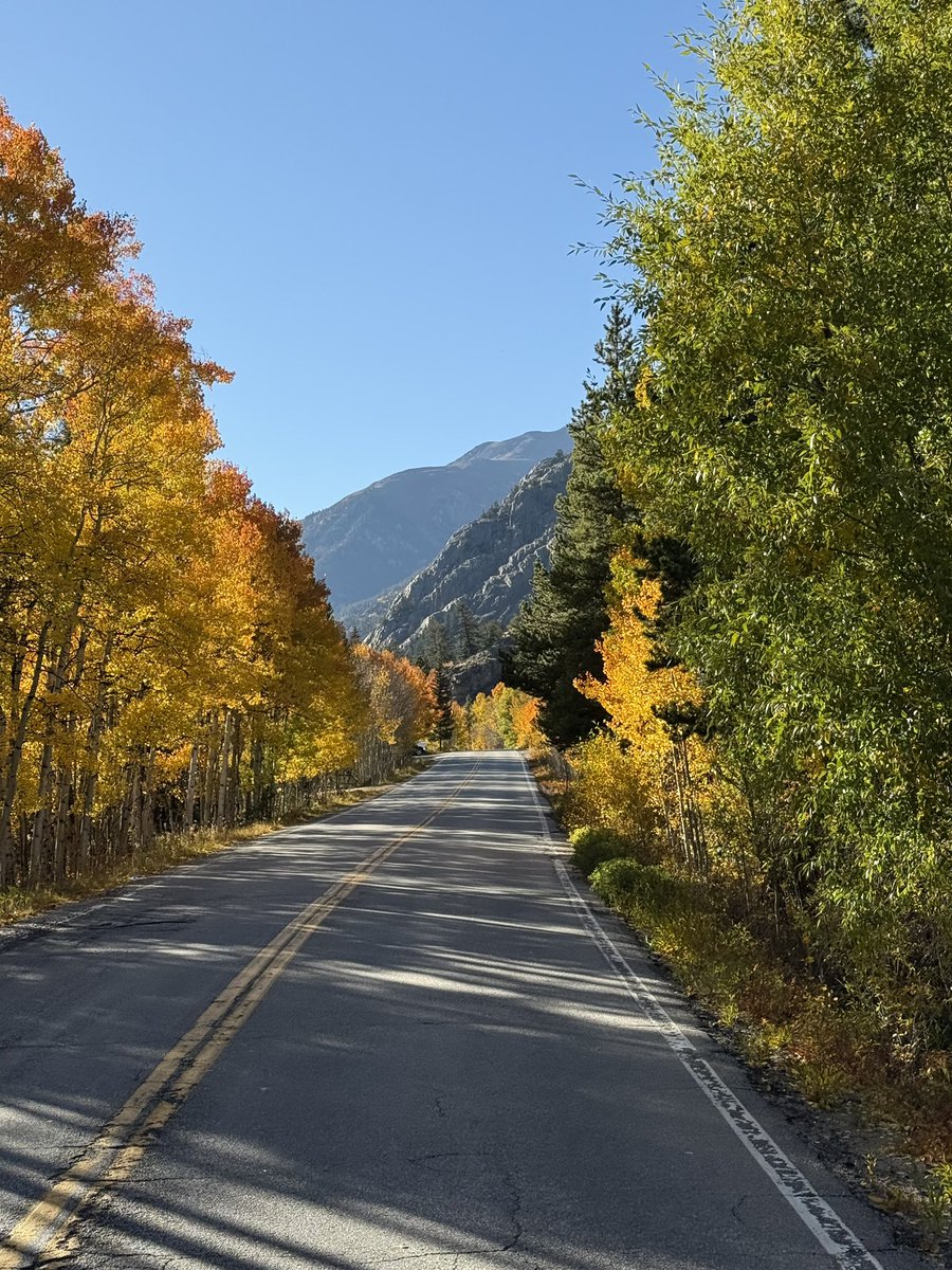 John P Erwin III MD MBA MACC (#BigPoppy ) tweet media