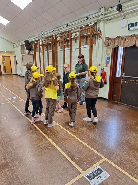 Montgomeryshire WT (@montwildlife) on Twitter photo Bat boxes made by Berriew Brownie's will be installed within the local community, where the Brownie's will hopefully see their hard work being used. This Learn and Build project in partnership with Llanfyllin Shed is funded through <a href="/TNLComFundWales/">The National Lottery Community Fund Cymru</a> 🥰💚 Bat boxes made by Berriew Brownie's will be installed within the local community, where the Brownie's will hopefully see their hard work being used. This Learn and Build project in partnership with Llanfyllin Shed is funded through <a href="/TNLComFundWales/">The National Lottery Community Fund Cymru</a> 🥰💚