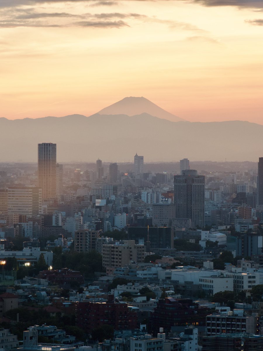 Cloe_Lheraux's tweet photo. Excited to have arrived in Tokyo ahead of the #TGSW2024 ! I’m deeply honored to be invited by @UNIV_TSUKUBA_EN to present my work this week. A huge thanks to @Neuro_Bordeaux graduate program for making this opportunity possible! Here's a few photos ! it's been amazing so far 📸 https://t.co/cPt3975Oka