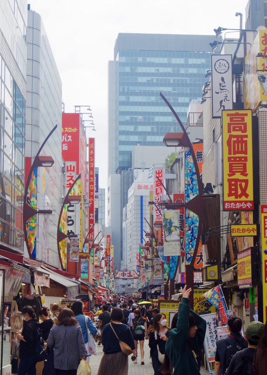 Cloe_Lheraux's tweet photo. Excited to have arrived in Tokyo ahead of the #TGSW2024 ! I’m deeply honored to be invited by @UNIV_TSUKUBA_EN to present my work this week. A huge thanks to @Neuro_Bordeaux graduate program for making this opportunity possible! Here's a few photos ! it's been amazing so far 📸 https://t.co/cPt3975Oka