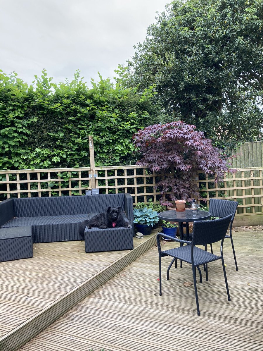 The table is the latest addition to Daisy’s many choices of where best to relax