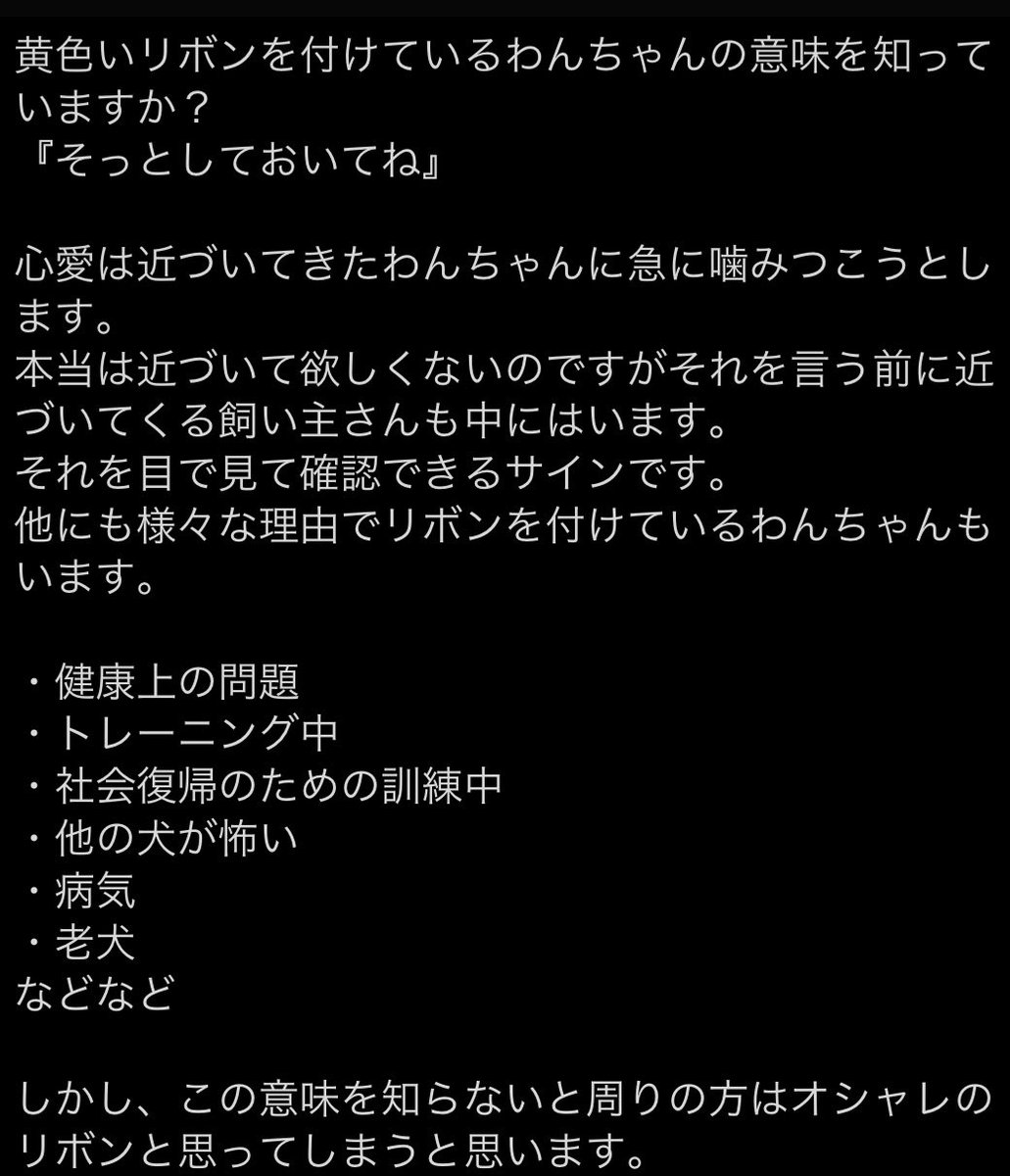 e42_cl's tweet photo. 飼い主とわんちゃんが安心して安全に散歩できるように意味も含めて多くの方に知ってもらいたいです☺️
#犬の黄色いリボン #YellowRibbonProject https://t.co/zvgsP9hfyd