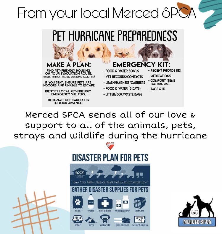 MercedSpca's tweet image. In times of crisis, we stand together to support and protect all animals in need. Merced SPCA is sending love and hope to those affected by the hurricane, including the stray animals, wildlife and beloved pets. 🐾💙