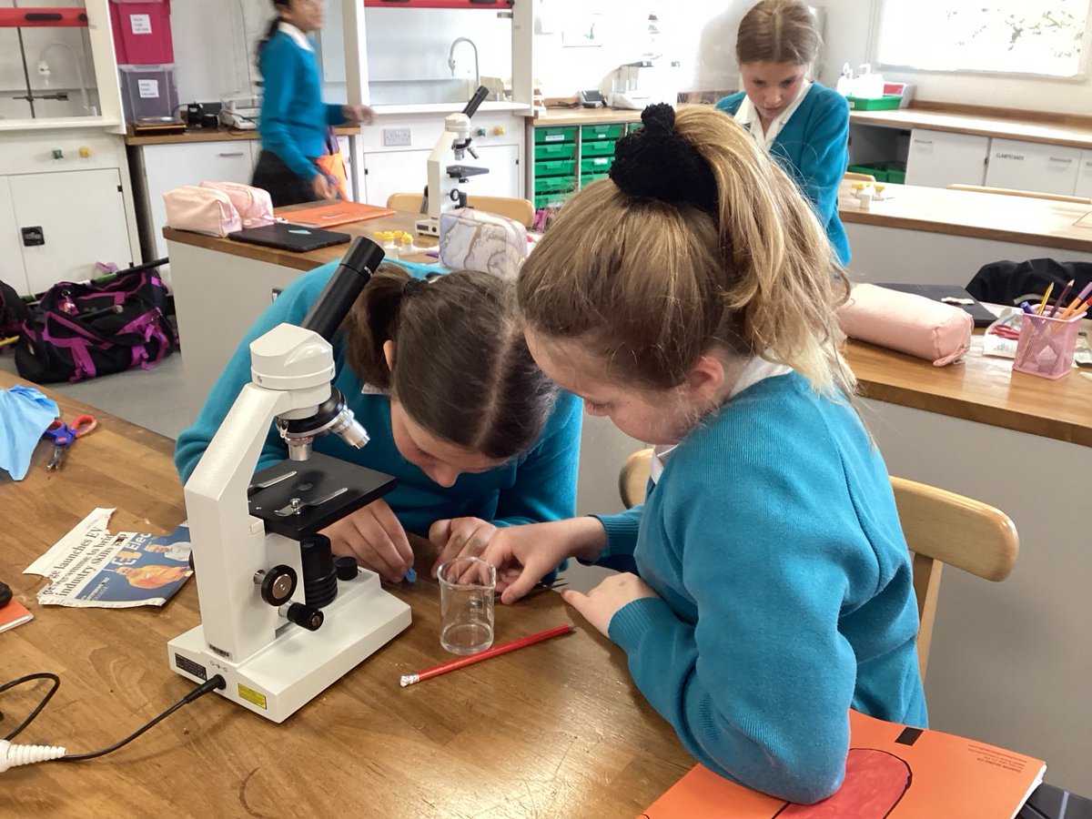 #BGSYear6 practicing using microscopes for the first time #BGSScience