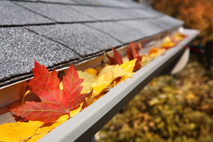 HuntingdonIns's tweet photo. 5 Home Maintenance Tips for Fall - https://t.co/MVMukZwfJl https://t.co/osdfw8toGj