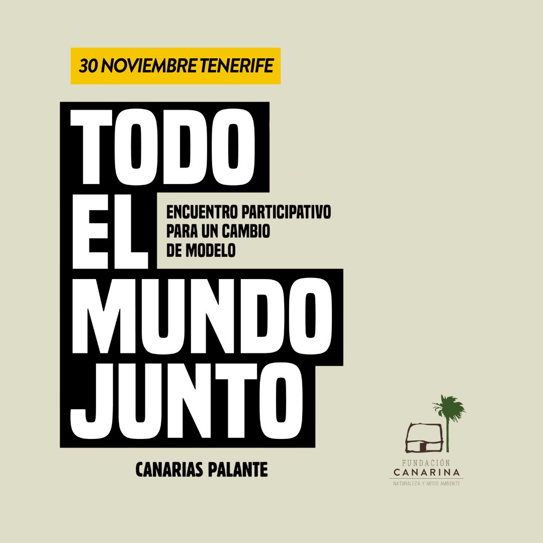 Fundacion Canarina tweet media
