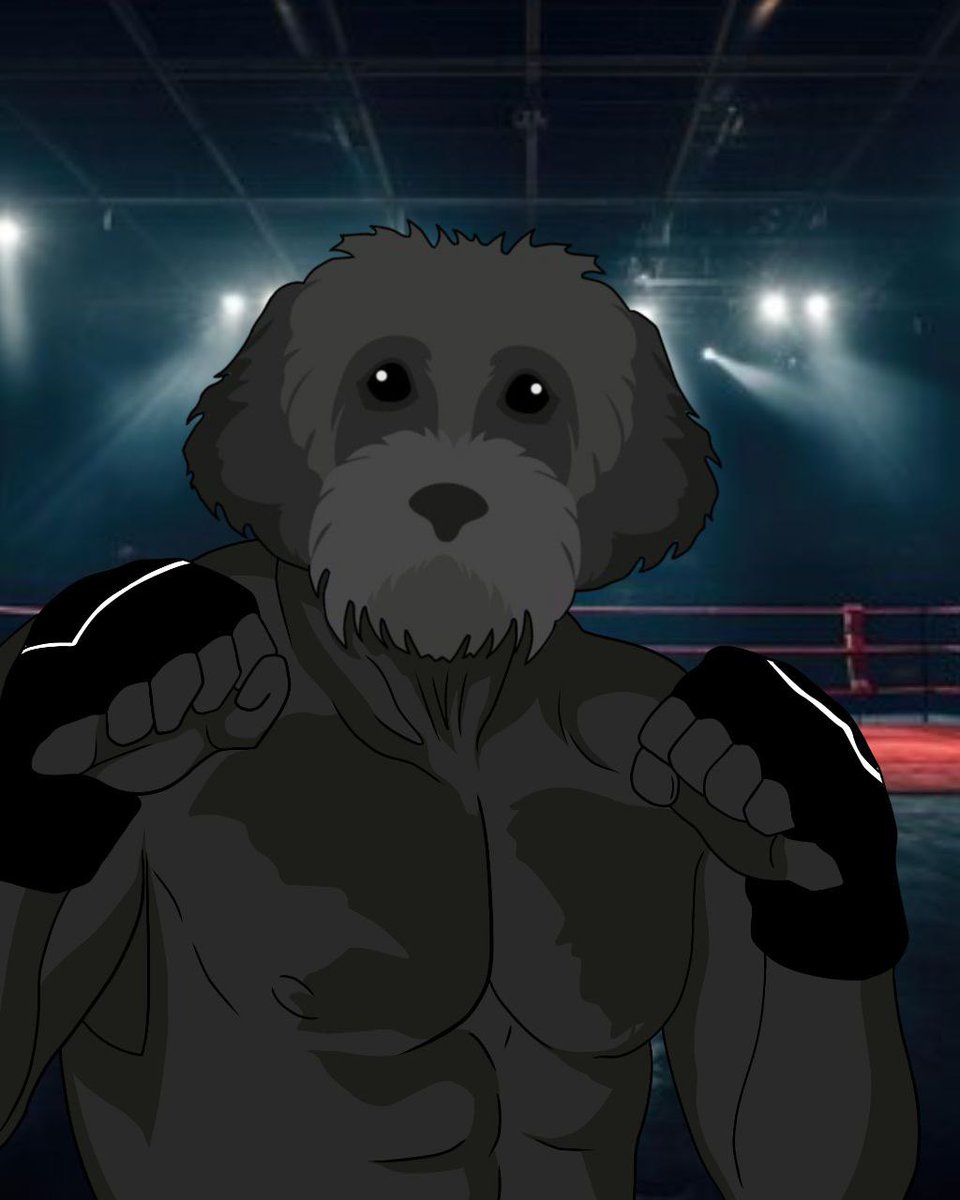 MyroSOL's tweet photo. A true fighter 🥊🐕‍🦺 https://t.co/mVckUA9f4p