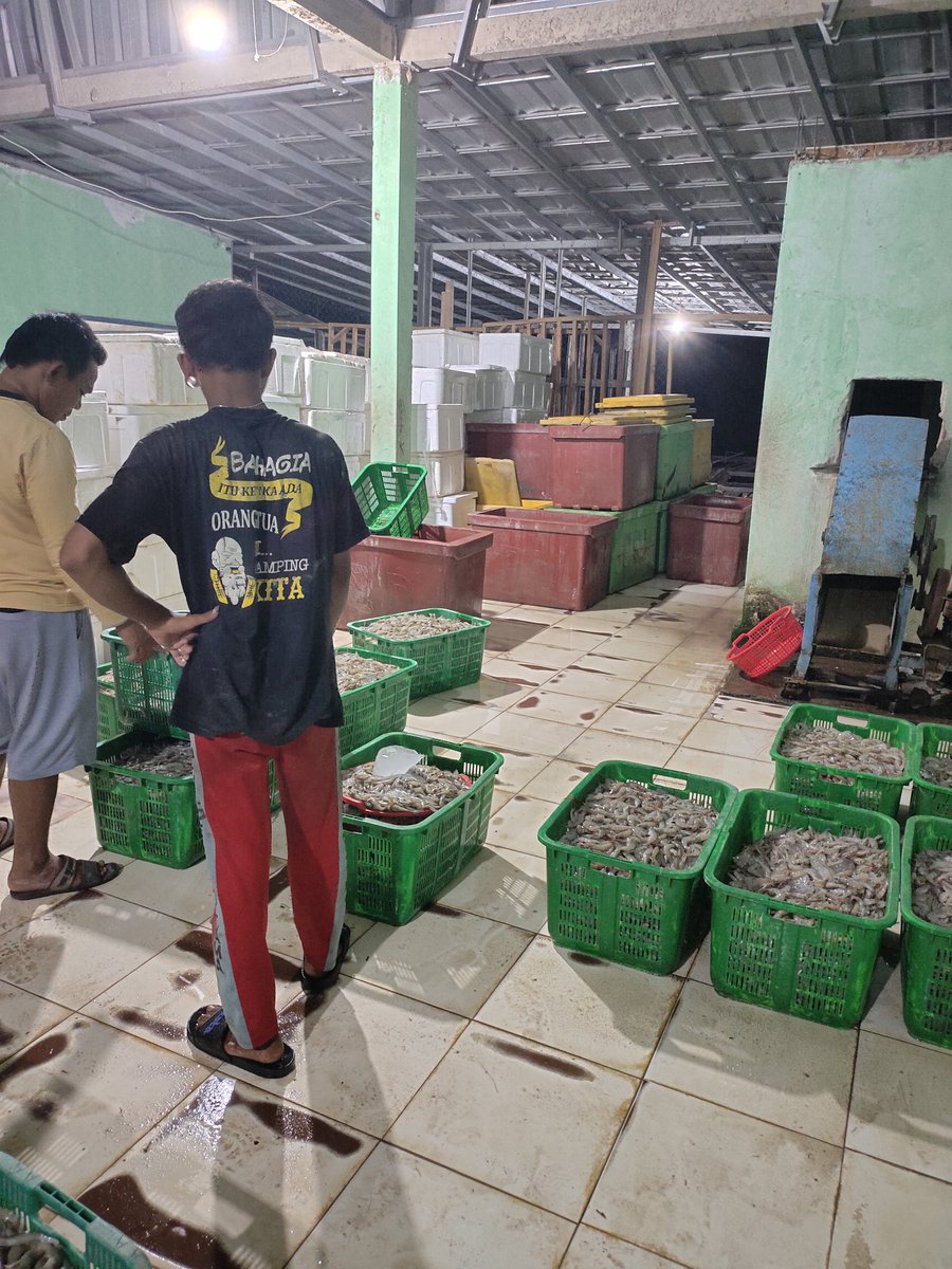 Fridudin tweet media