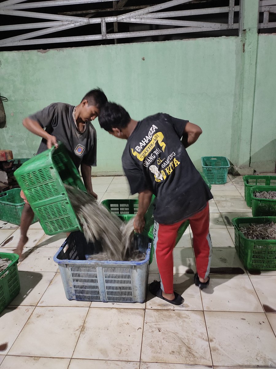 Fridudin tweet media