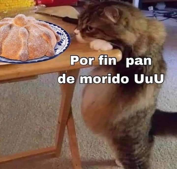 🇲🇽 México Mágico ✨ (@enmexicomagico) on Twitter photo 