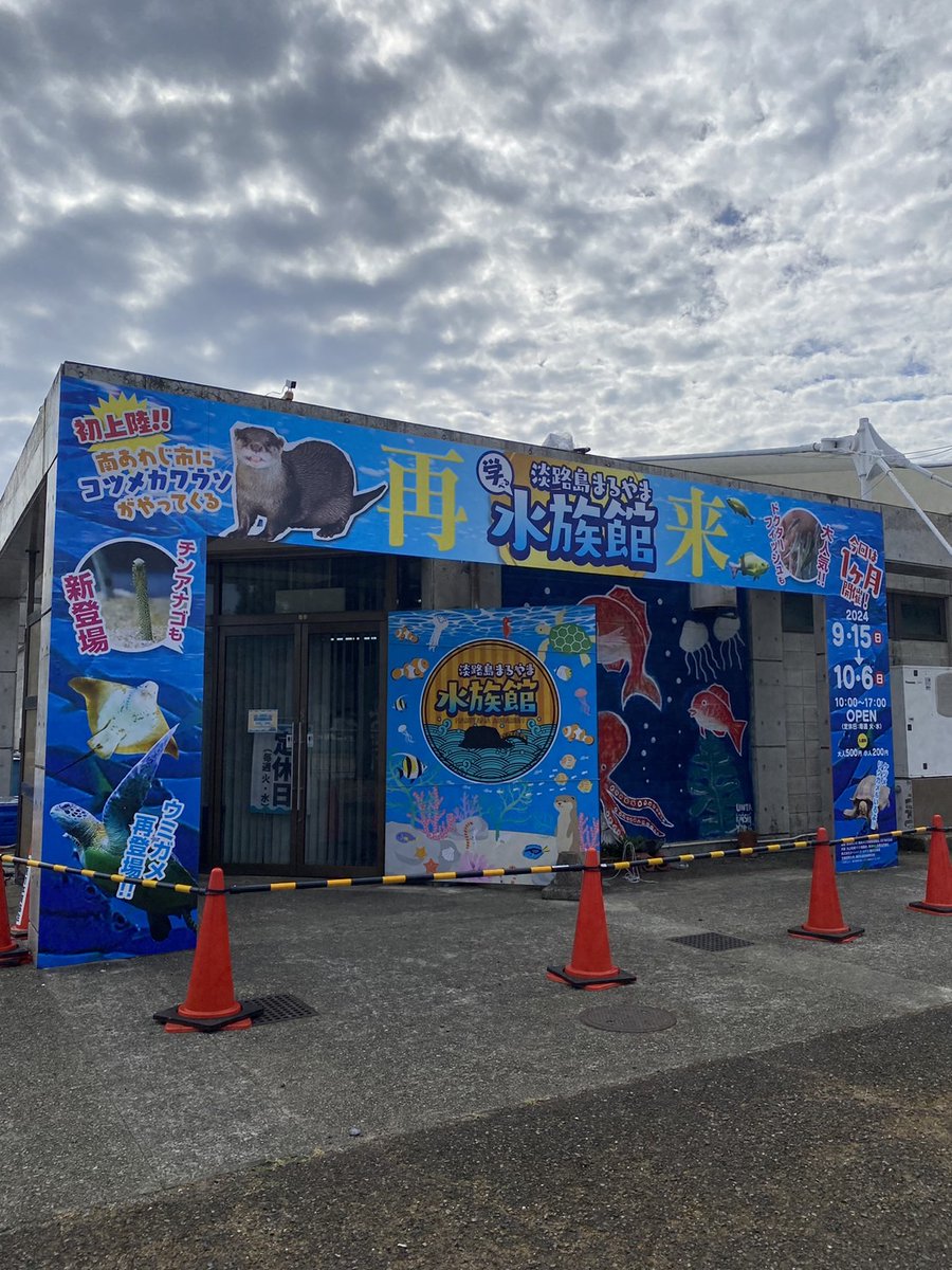 awajikoku's tweet photo. 丸山漁港にて期間限定で水族館開催中🐟
今週でラストです！
最終日の6日は献上鯛まつりもやるそうです🎣
人懐っこい元気なコツメカワウソがめっちゃ可愛くて見所です♡♡♡
是非行ってみてください🙏🏻◎
.
#まるやま水族館#丸山漁港#献上鯛まつり https://t.co/DQOfO5QIjy
