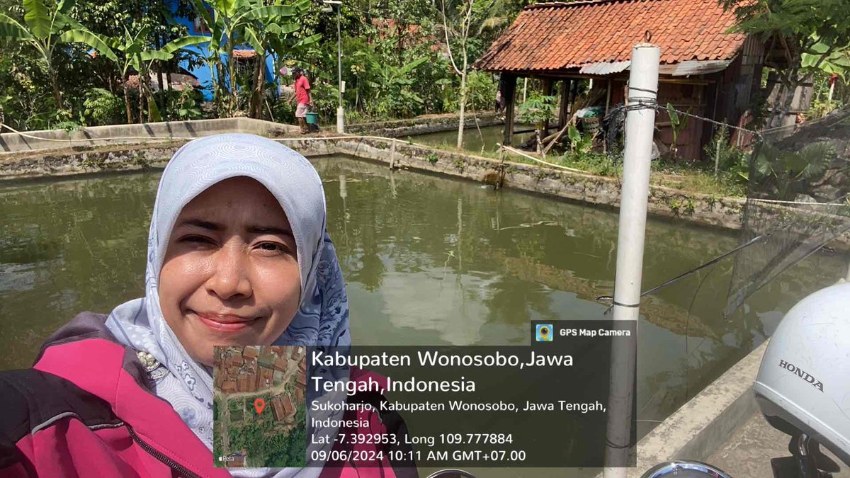 IstiAnggih's tweet photo. Jumat (06/09/2024), Anggih Isti, Luhkan Kab.Wonosobo anjangsana ke Pokdakan “Mina Barokah” Ds.Rogojati Kec.Sukoharjo

#GiatLuhkanSatminkalTegal 
#Luhlapor https://t.co/NzRFF5iZ4r