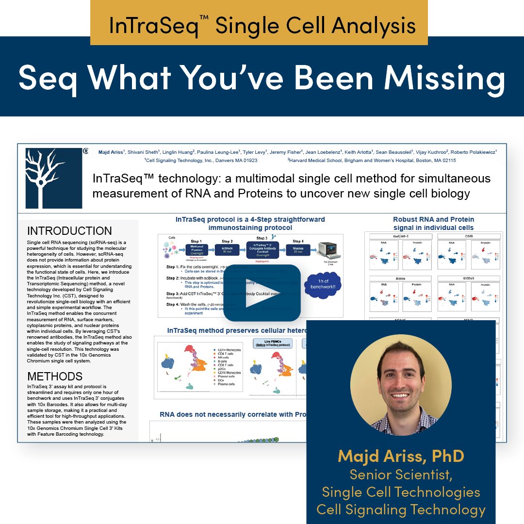 InTraSeq™ Single Cell Analysis enables the simultaneous detection of RNA and both intracellular and surface proteins for thousands of cells at the single-cell level.

Seq what you’ve been missing. See it in action: cst-science.com/08vipa