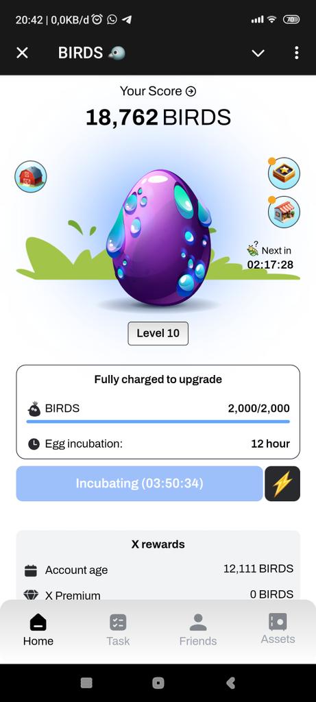 0xRaptore's tweet photo. @SuiNetwork https://t.co/op4qxgxpMb
🐦🐦 Chirp chirp, boost your BIRDS with X and earn a 10% bonus from friends. https://t.co/9Bv8rHgcOX