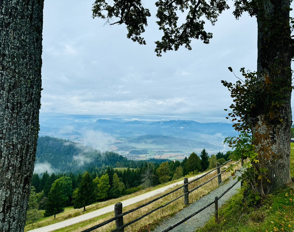 concept day of our teaching and research outpatient clinic to reflect together on the current status and get new projects off the ground (on the picturesque magdalensberg).