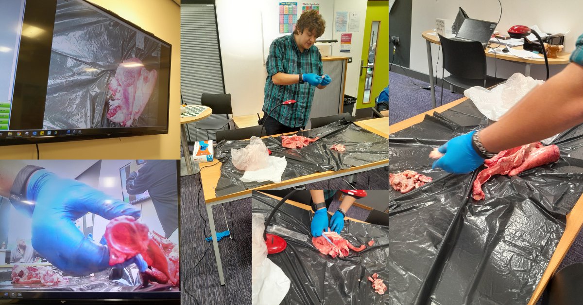 A sight that will take your breath away!
Students at Progress Schools The Hive donned doctor's coats and got involved in a lung dissection during Science. They got a closer look at the human body, learning about the intricacies of the lungs. A truly unforgettable experience!