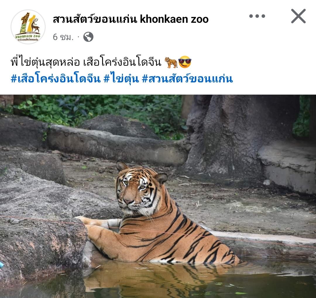 โคตรเท่ โคตรอันตราย แต่พ่อเรียกไข่ตุ๋น