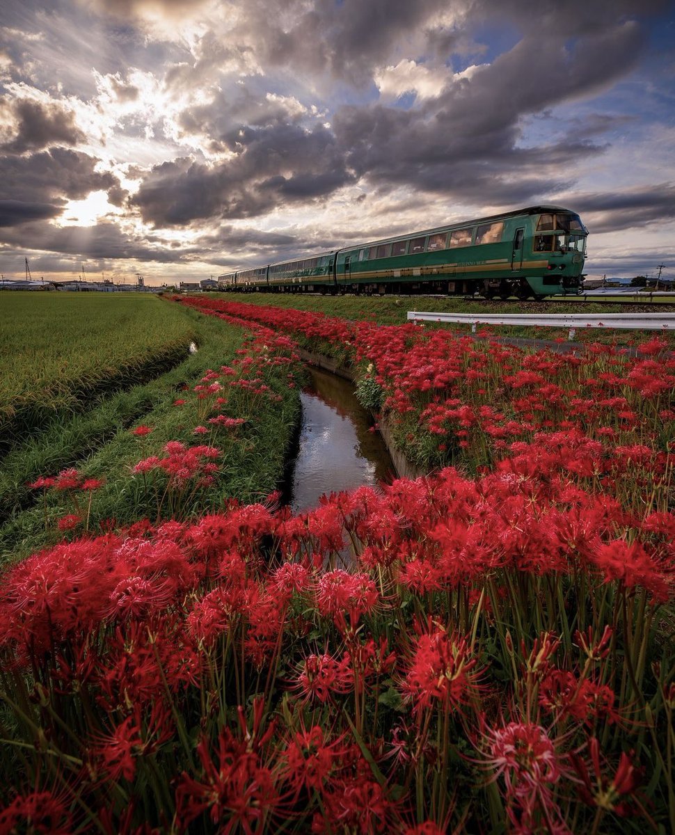 voshans's tweet photo. De pracht van het #treinleven…
(Foto MAI Photography)
#Ukiha #Fukuoka #Kyushu #Japan #trein https://t.co/LVX0jFKGlT