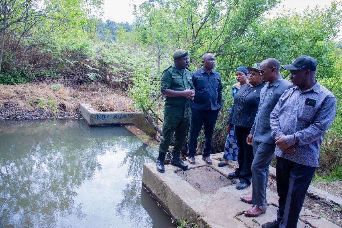 zanpress's tweet photo. Waziri wa Maliasili na Utalii, Balozi, Dk. Pindi Chana Oktoba 2, 2024 ametembelea shamba la Miti Mbizi, lilioko chini ya Wakala wa Huduma za Misitu Tanzania (TFS), Wilaya ya Sumbawanga, Rukwa kukagua uendelevu wa chanzo cha maji na kuona mchango wa shamba hilo kwa jamii. https://t.co/lZ3PBbPWJ4