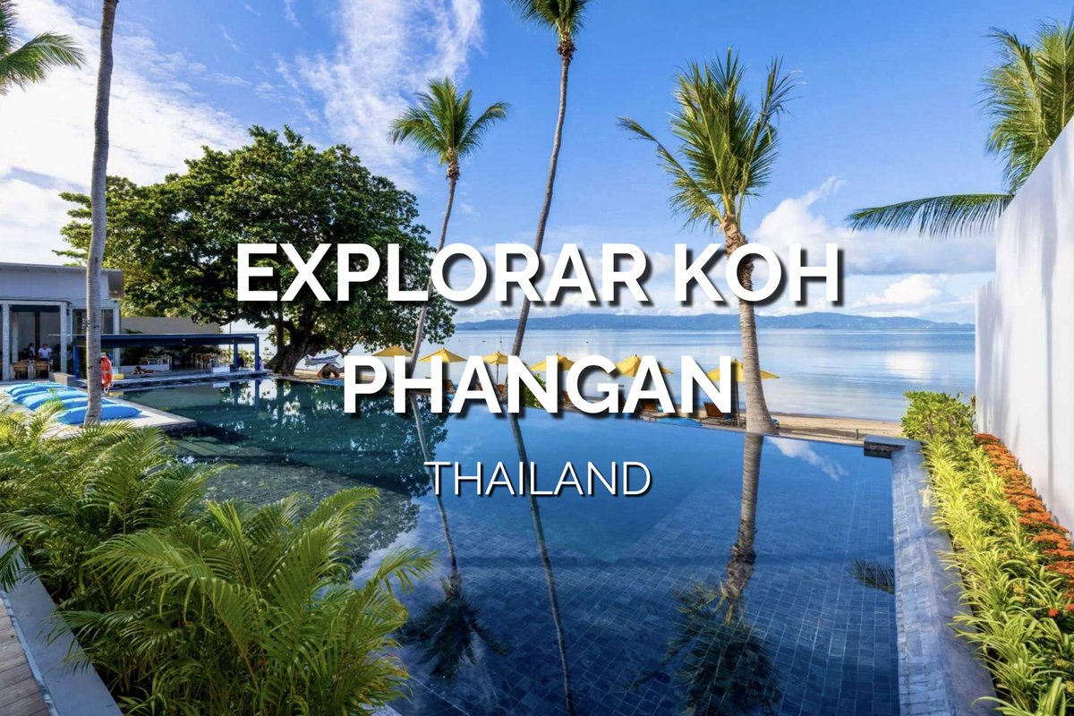 World Rainbow Hotels tweet media