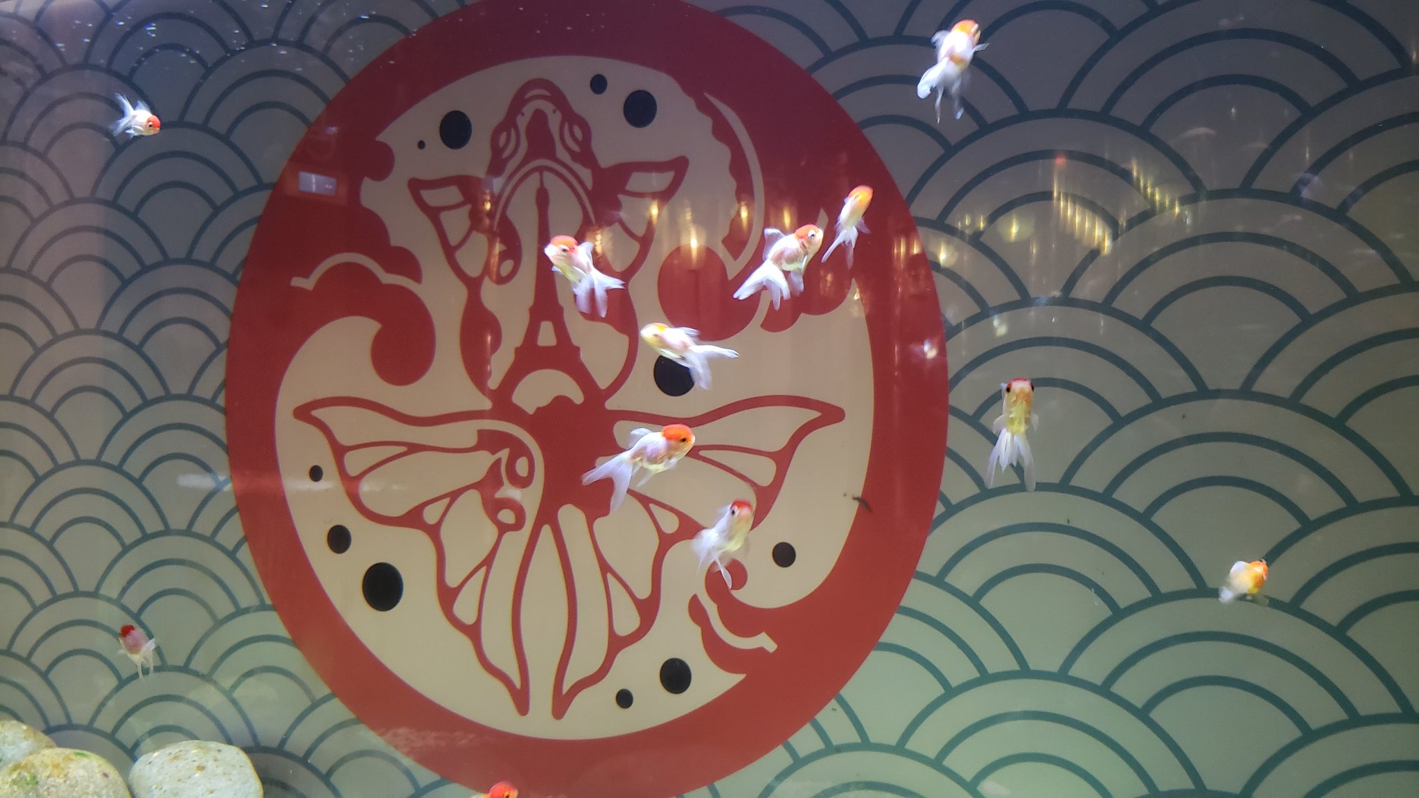 にぼしと - Search / X