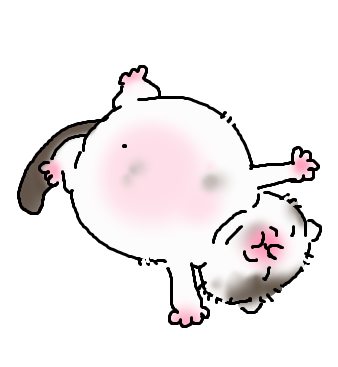 김치찌개 (@pag0g0p) on Twitter photo 