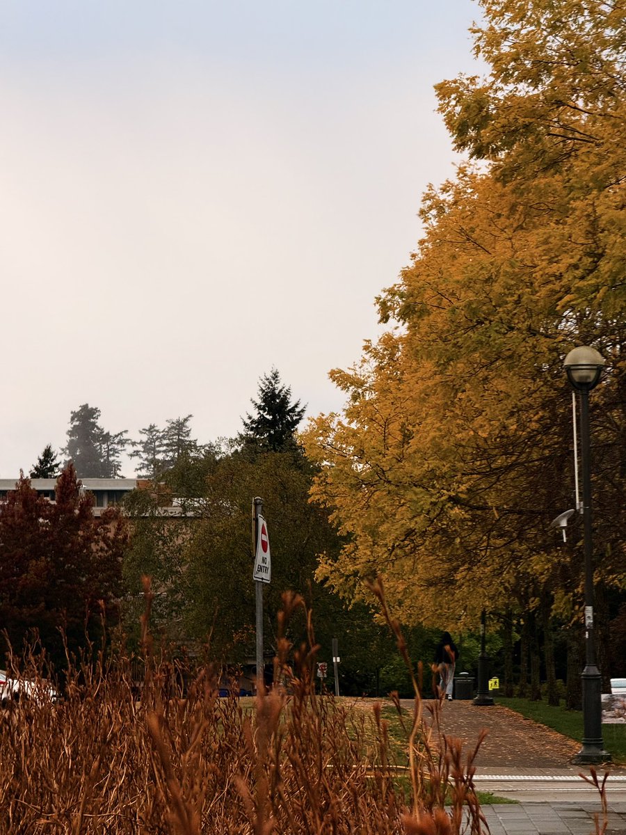Fall in Vancouver is criminally beautiful, took some photos over the weekend