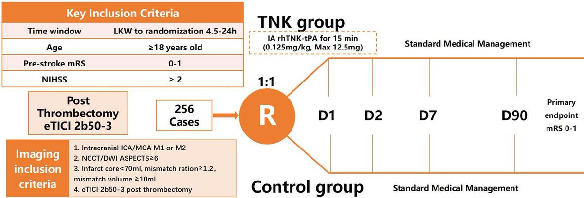 Intra-arterial tenecteplase after successful endovascular therapy (ANGEL-TNK): protocol of a multicentre, open-label, blinded end-point, prospective, randomised trial #ANGEL-TNK #tenecteplase #EVT

svn.bmj.com/content/early/…