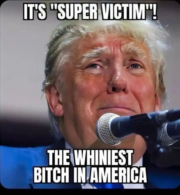 TribeOasis tweet media