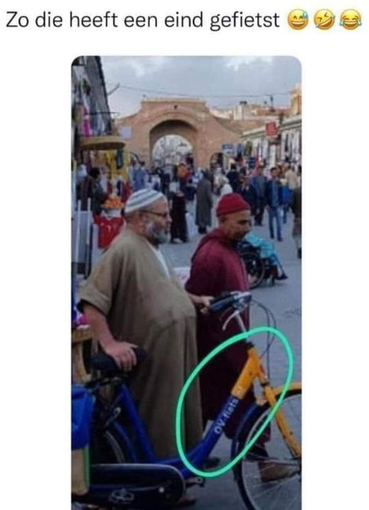 Wim den Oudsten tweet media