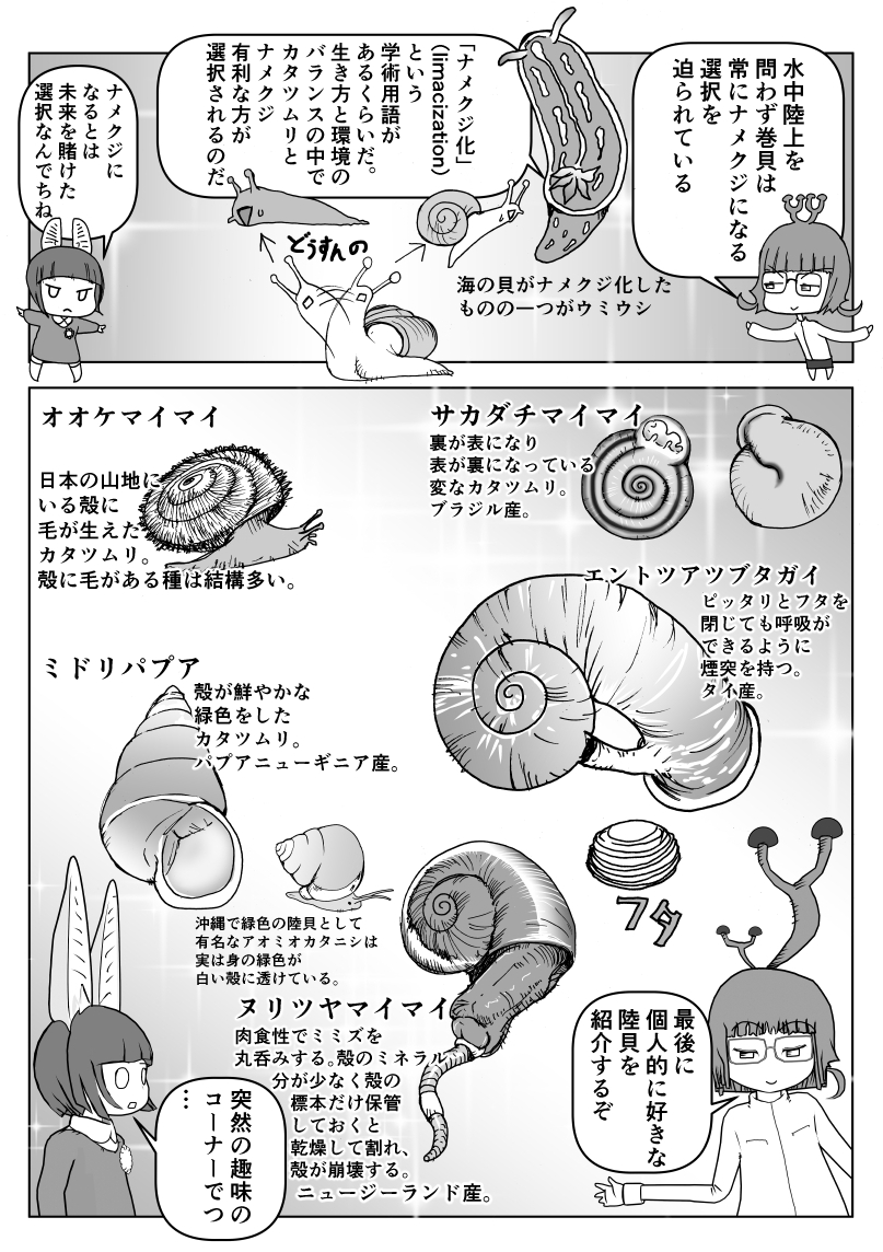 色々と誤解されてそうな動物を漫画で解説していくぞい。
第14回「カタツムリ」2/2
#クック先生の動物講座 #カタツムリ #軟体動物 #陸貝 #デンデンムシ #マンガが読めるハッシュタグ #お絵かき #イラスト 