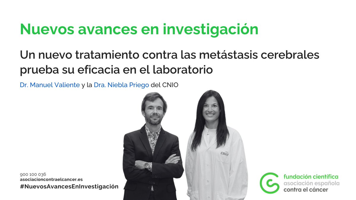 Con el apoyo de <a href="/ContraCancerEs/">Asociación Española Contra el Cáncer</a> investigadores del <a href="/CNIOStopCancer/">CNIO Stop Cancer</a>, liderados por el Dr. Manuel Valiente y la Dra. Neibla Priego, proponen una nueva estrategia para tratar las metástasis cerebrales avanzadas combinando inmunoterapia con el fármaco silibinina. Además, este trabajo
